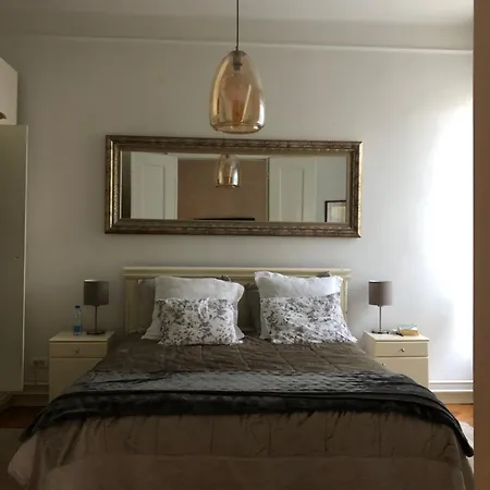 Vracar Elegance Daire Belgrad