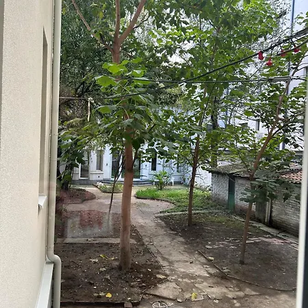 Vracar Elegance شقة بلغراد